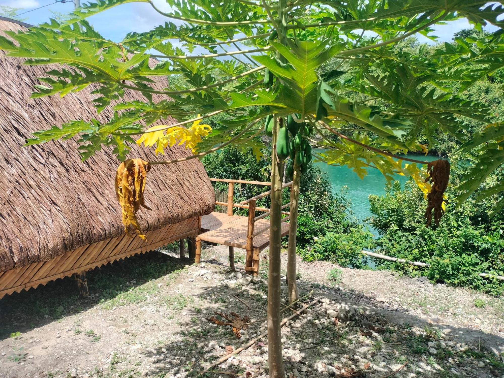 Riu Del Mar Hostel 道伊斯 外观 照片